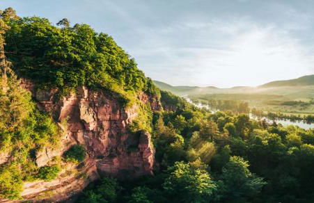 Bürgstadt, Am Bischof mit Sonnenterrasse, 1 bis 4 Betten - Foto 74