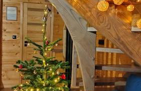 Domek Cichy Zakątek Beskid Niski - Foto 72