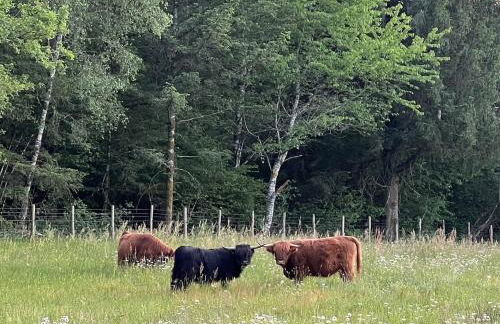 Lac de Vassivière Petite maison à proximité - Foto 28