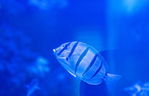 Brierley Club Hideaway Chic 7 Star Retreat - Foto 24