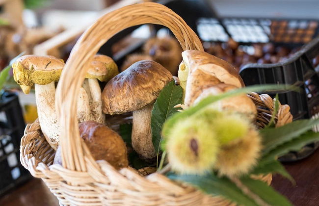 Podere Il Sorriso Degli Angeli - Photo 16