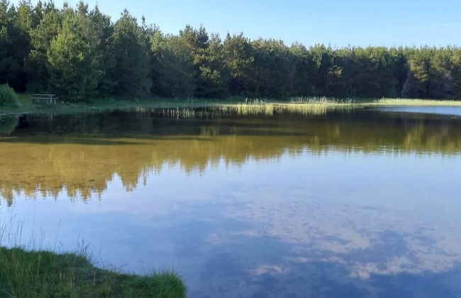 8 Person Holiday Home in Ulfborg - Foto 22