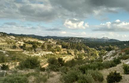Le Mazet de la pointe dans les Alpilles avec piscine et jardin - Foto 39