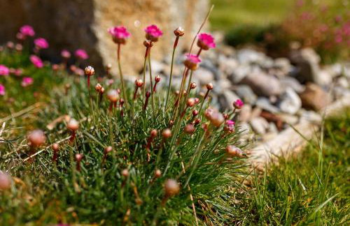 The Granary at Cornish Barn Holidays - Foto 30