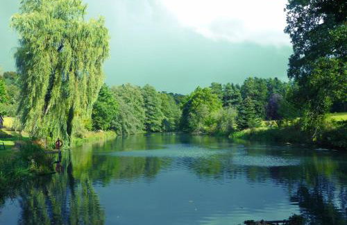 Ferienwohnungen Reichholdsmühle - Foto 3