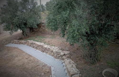 Retiro da cegonha - Foto 44