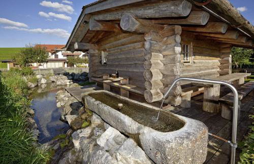 Best Butler Alp Villa 11 Personen I Blockhütte I Parken I Lagerfeuer I Netflix - Foto 7