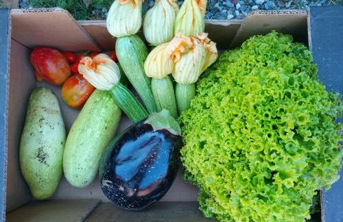 Agriturismo la Fattoria al Crocefisso - Foto 13