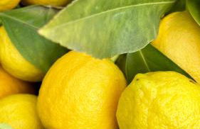 Borgo dei Sogni - Deluxe Apartment - Lago di Garda - Foto 44