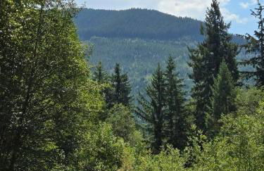 Dovetail Den - Tranquil with Hot Tub and Air Conditioning - Foto 12