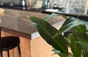 House in Santa Vitória Do Palmar - Foto 35