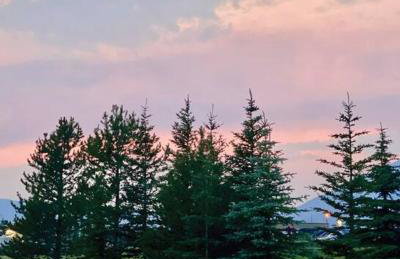 Brand NEW Cabin in the pines - Foto 41