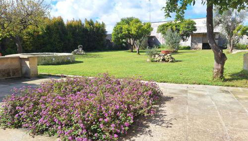 Masseria Li Camerini - Foto 5, Garden