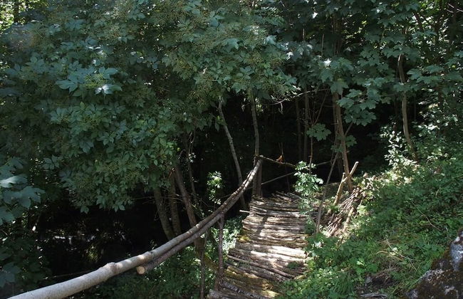 Château des Marcilly Talaru - Foto 30