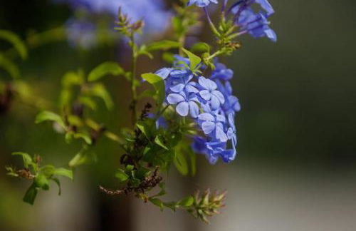 Alethea's Sea View Apartment - Foto 36