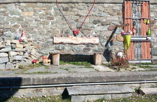 The Green Owl - Foto 20