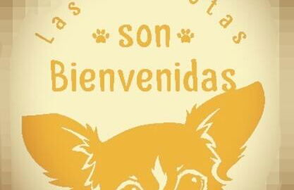 GREDOS RURALRUT cerca del CASTAÑAR de El Tiemblo, Reserva Natural VALLE DE IRUELAS, alojamiento acogedor con cabina hidromasaje, chimenea eléctrica, calefacción, wifi, cocina - Photo 70