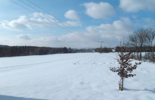 Cozy Apartment with Private Garden in Nisterau - Foto 31