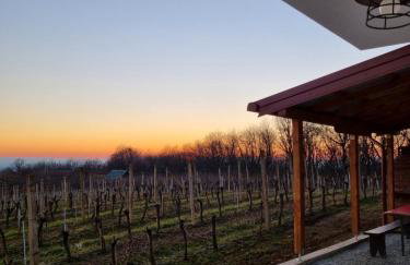 Kuća za odmor Baron - Foto 49