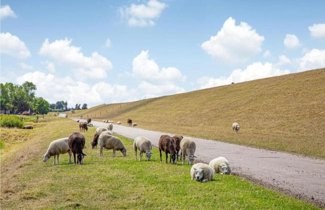 Lush Villa with Hot Tub, Private Fenced Garden in Hippolytushoef - Foto 36