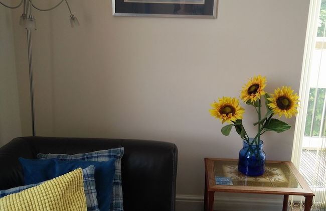 The Shelbourne Apartments - Foto 34