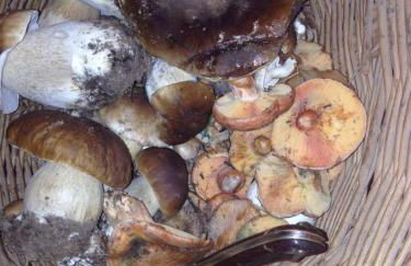 Casa Rural Lahuerta - Foto 30