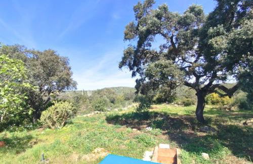 Quinta Azul - Foto 69