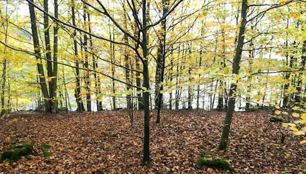 4 Person Holiday Home in Boras - Foto 3, Miscelánea