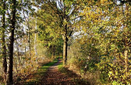 FeWo Grafschaft - Foto 28