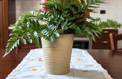 Agriturismo Stovali Da Lustrinu - Photo 46