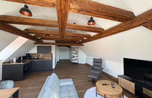 Apartmenthaus Alte Scheune Gunzenhausen - Foto 60