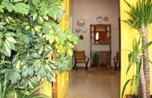 El jardín de la abuela - Foto 15