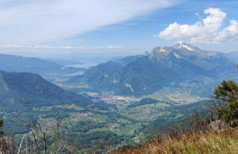 C le birdie - Foto 43