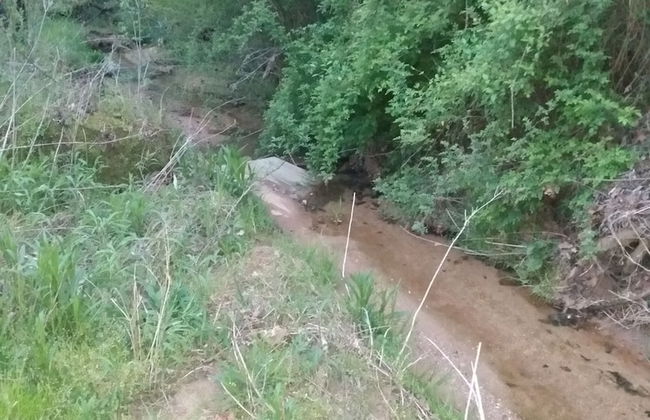 Cook Road Farmhouse - Foto 11