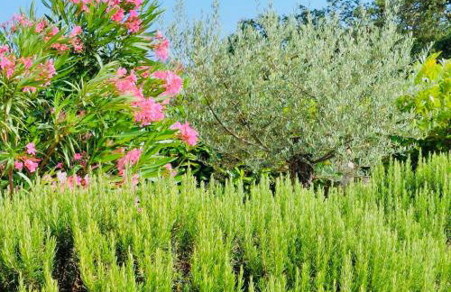 Villa Seaside - Photo 27