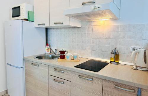 Apartments Vojvoda - Foto 14