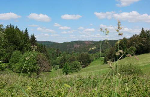 Ferienwohnung Werraquell Hütte - Foto 44