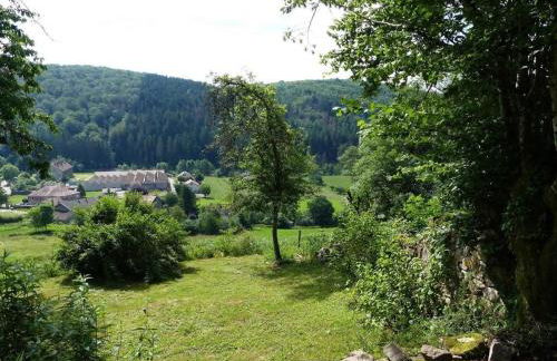 Gîte 2 chambres avec WiFi, proche Luxeuil-les-Bains - FR-1-583-368 - Foto 29