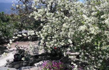 Huerta La Niña Arenas - Foto 17