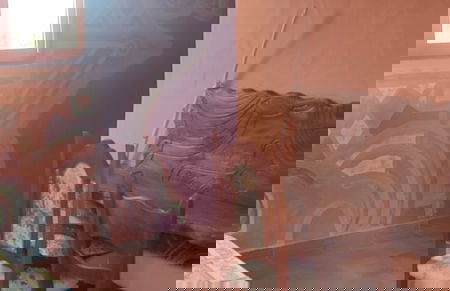 Il nuraghe - Foto 15