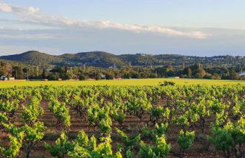 Ànima del Garraf - Photo 41