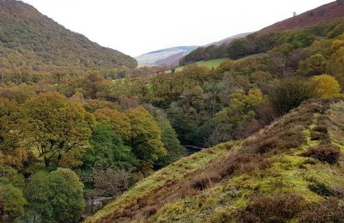 4 Bed in Llandovery oc-82440 - Foto 29