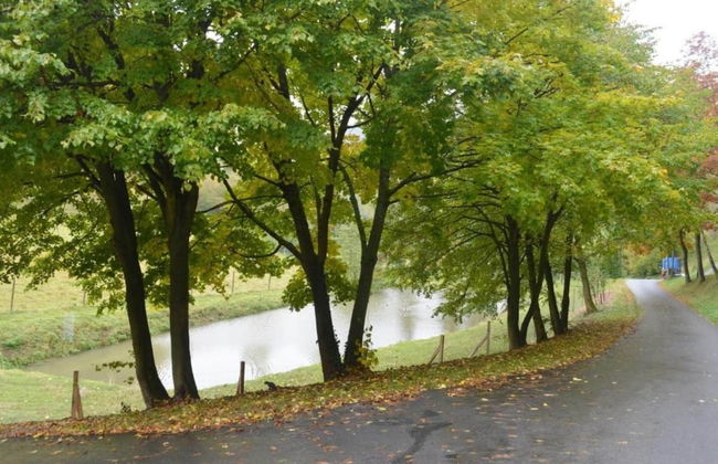 Apartment in Bruchhausen mit Terrasse - Foto 20