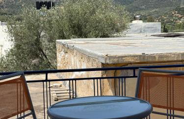 iris house - Foto 27