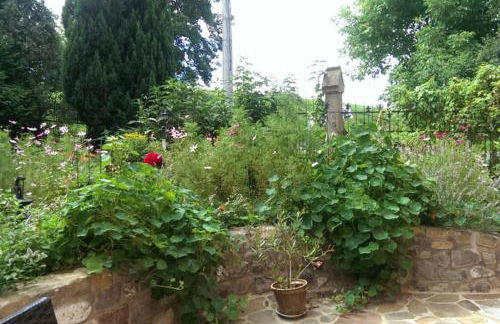 Sinnes Wandel Hof Serka - Foto 7