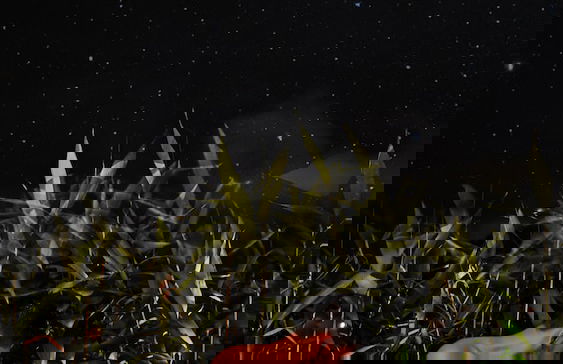 Vila Astra - Foto 18