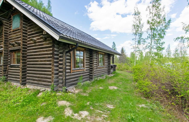 Heinäsorsa - Foto 19