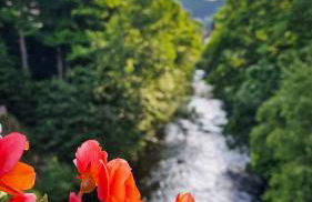 Charaktervolle 122qm Altbau-Ferienwohnung mit Stuck, viel Platz für Familien & Gruppen bis zu 8 Personen, Parkplatz inklusive - Photo 73
