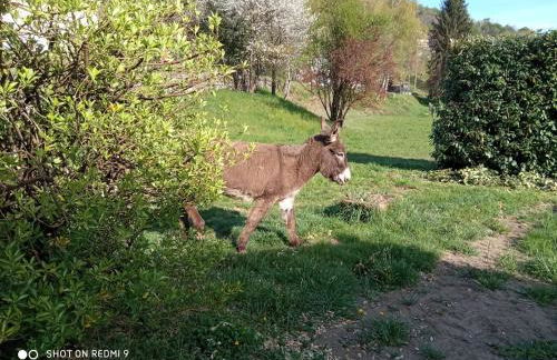 Cascina Vica Biella - Foto 42