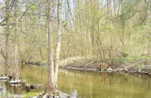 Peaceful Retreat by the Lake - Foto 47